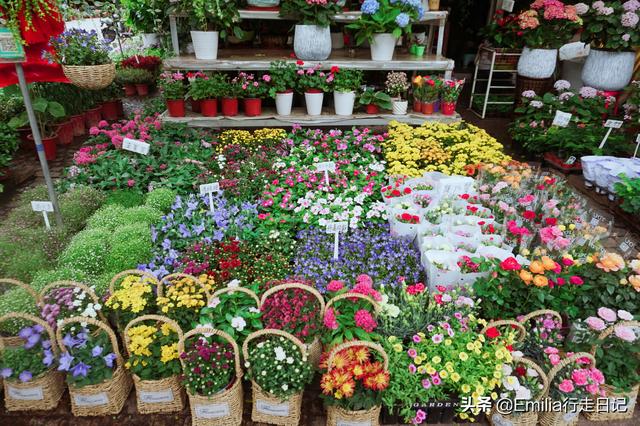 梧桐山艺术小镇，深圳好景点推荐