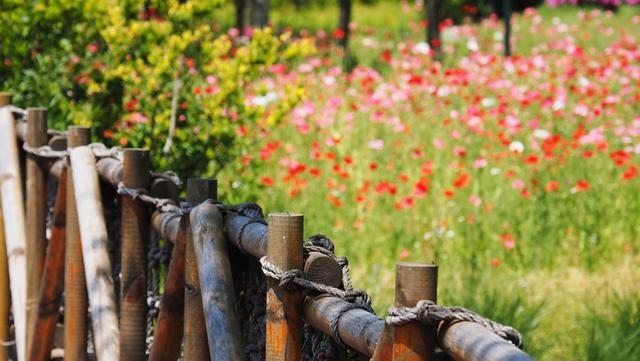 奥林巴斯em1，奥林巴斯em1mark3测评