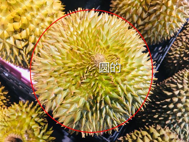 如何挑选一个大而好吃的榴莲，吃榴莲的旺季来了