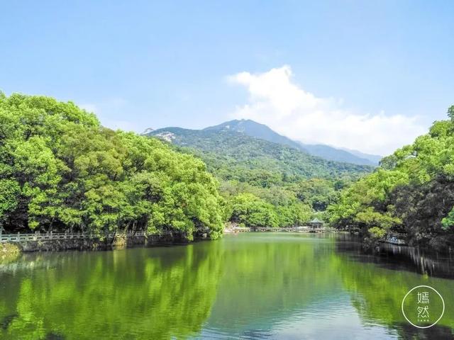 罗浮山风景区一日游攻略，岭南第一山罗浮山爬山记