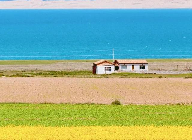 青海湖几月份看油菜花，青海湖旅游的最佳季节来了