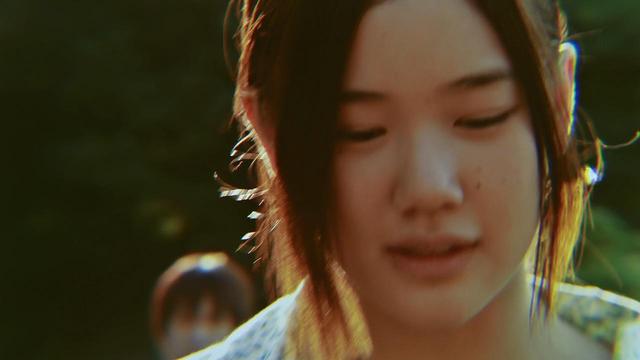 花与爱丽丝剧情深度解析，花与爱丽丝从叙事