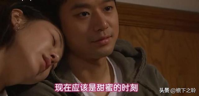 狐狸啊你干啥呢，我和小狼狗谈恋爱