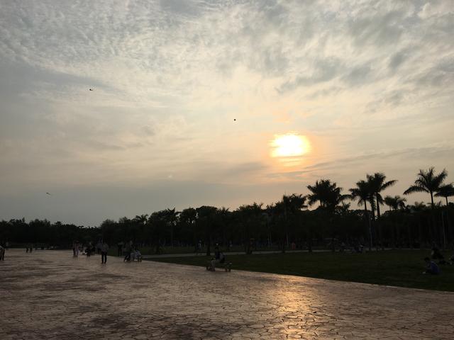 广州哪里可以看海，广州旅游看海的地方（广州这些“无敌海景”碧道藏不住了）