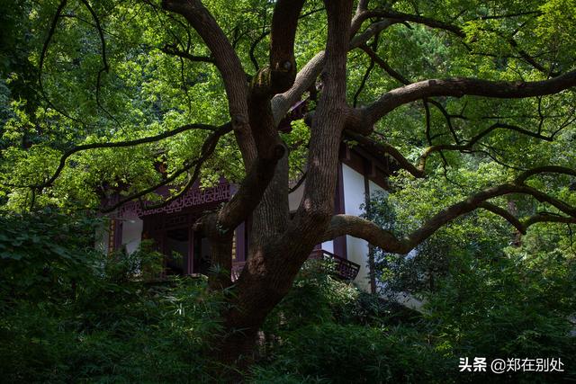 杭州冷门爬山路线，杭州登山路线08最好在这里