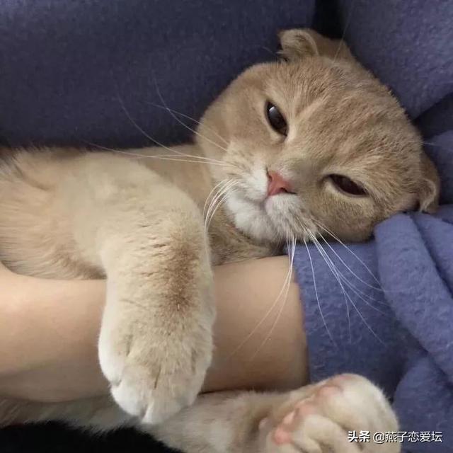 男生一直说你可爱是什么意思，女生说男生可爱是什么意思