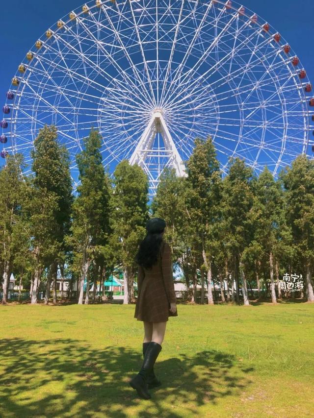 南宁附近花海景点推荐，南宁这几处花海，美了