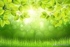 20句描写春的诗句，写春的诗句欣赏