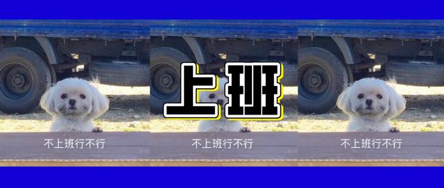 王者荣耀无敌皮皮鸟表情包，王者荣耀表情包献上