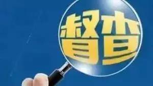 巡视，巡视组巡察什么内容