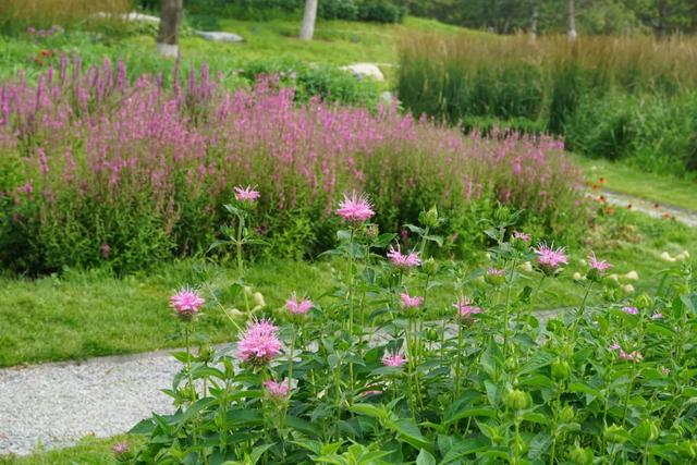 北京必玩景点排名，北京必玩的十个景点排名榜单（北京最值得去的12个景区）