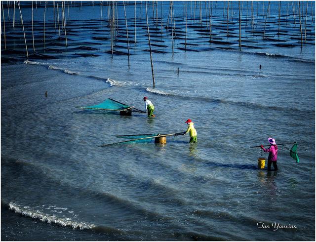 海陵岛红树林赶海攻略，海陵岛不只有碧海银沙