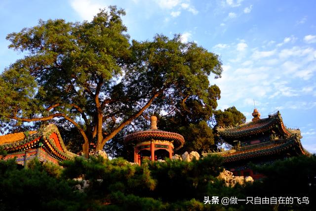 北海公园景点介绍，北海公园旅游攻略（北京周末去哪儿——北海公园）