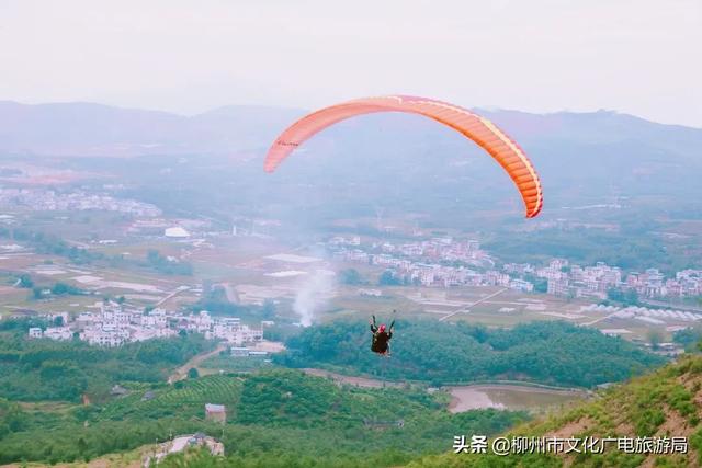 柳城县旅游攻略，攻略柳人游柳