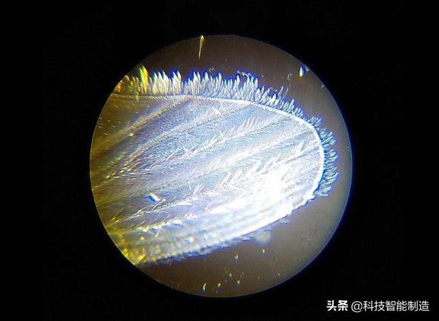 儿童科学探索显微镜，启发孩子科学探索思维