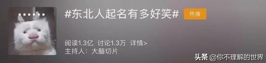 东北人都是活王八，东北人对话的尴尬瞬间（东北底层人士的社会文化）