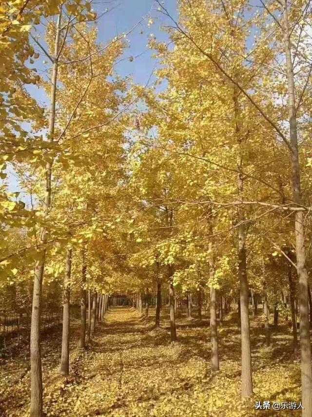 南社古村游玩攻略，广东八个最美古村落