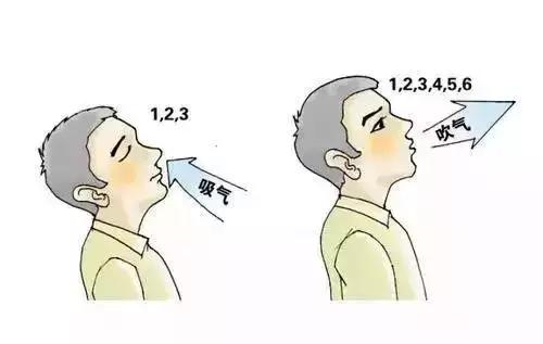 养肺最好的7种方法，MatriMax游戏魔方评测