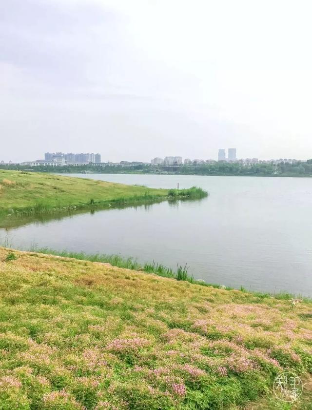 郑州周边免费景点，郑州最近免费旅游景点大全（不出郑州的8个赏花遛娃地）