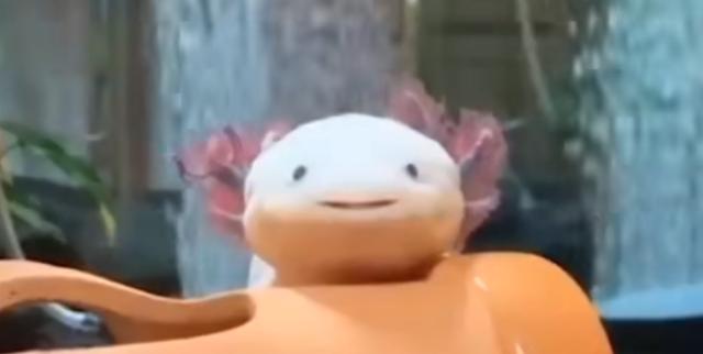 头上有角的恐龙，最强的十个角龙类恐龙（《侏罗纪公园》恐龙形象是恐龙本尊吗）