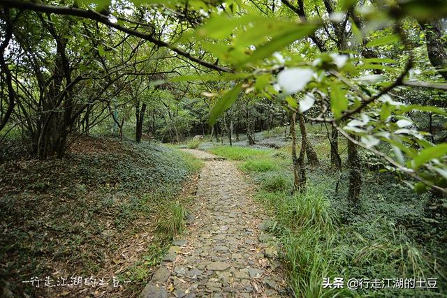 虞山国家森林公园，历史上的虞山公园