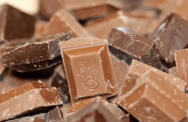 小狗吃了巧克力多久会有反应，小狗吃巧克力不是闹着玩