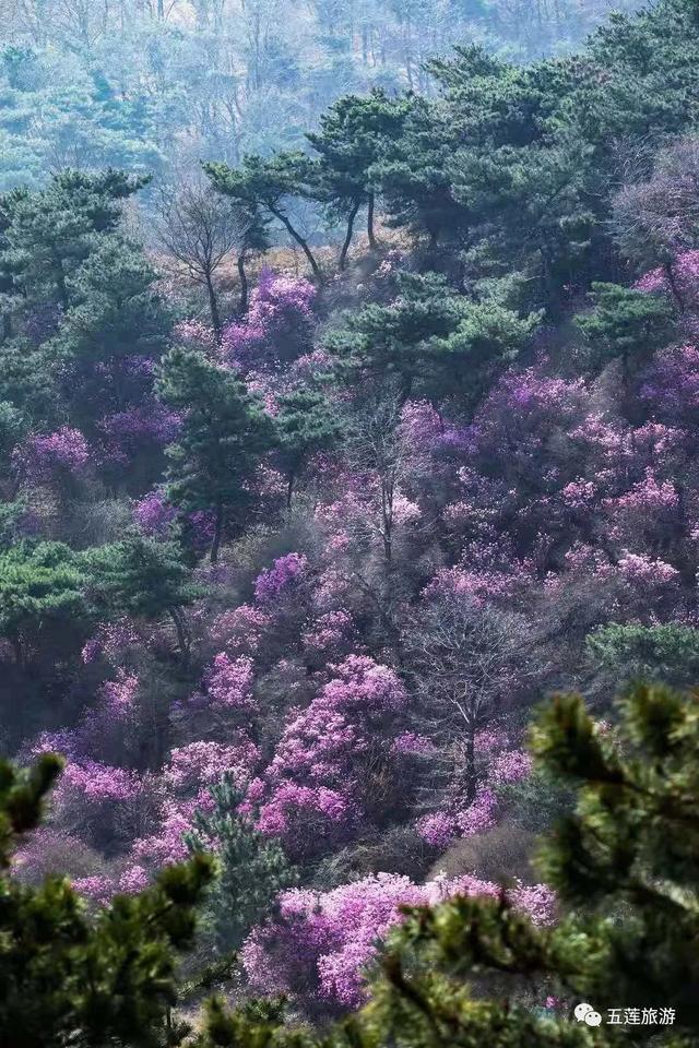 贵州六个小众山，徒步登山爱好者的天堂