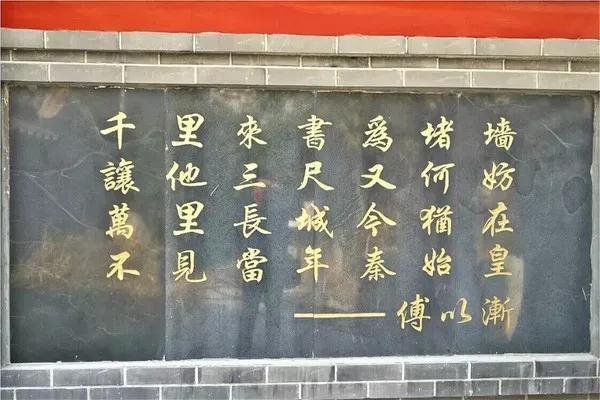 未见当年秦始皇典故，一棵大树挡去路