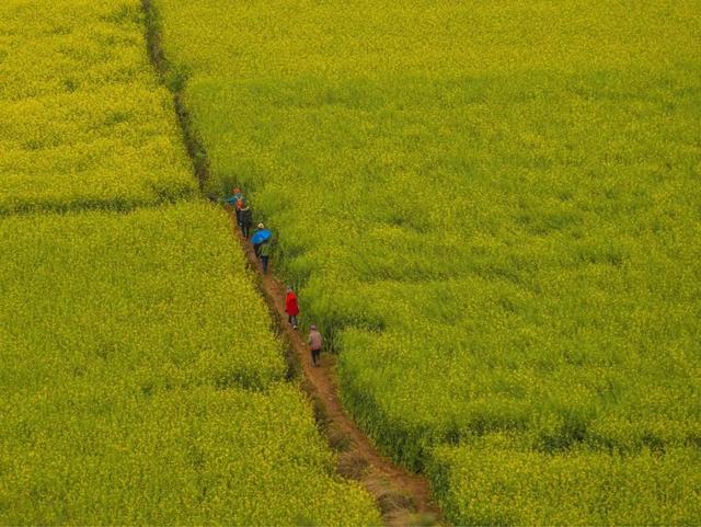 三月最值得去的旅游地方，9大绝美春色旅行地