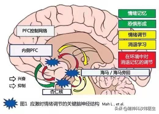 人受到惊吓会被吓死吗，被吓死只是谣传