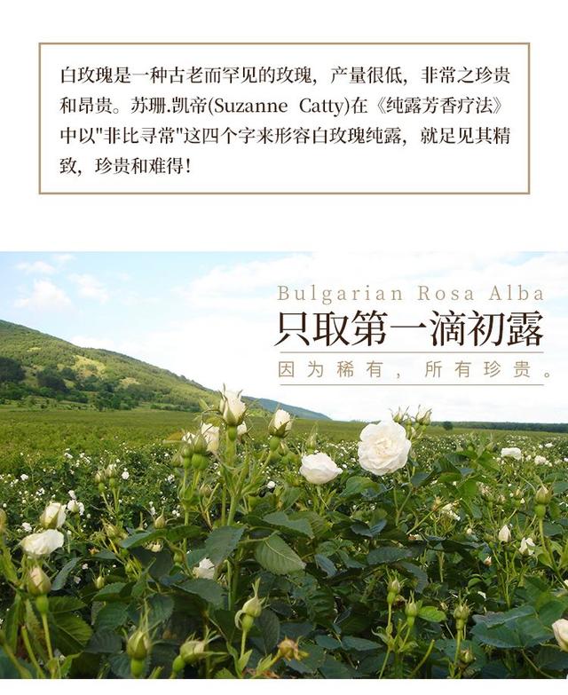 保加利亚玫瑰纯露，保加利亚玫瑰花纯露