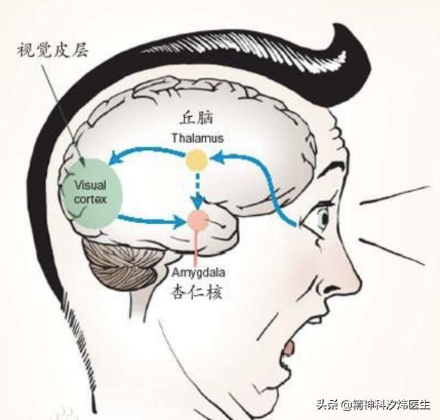 人受到惊吓会被吓死吗，被吓死只是谣传