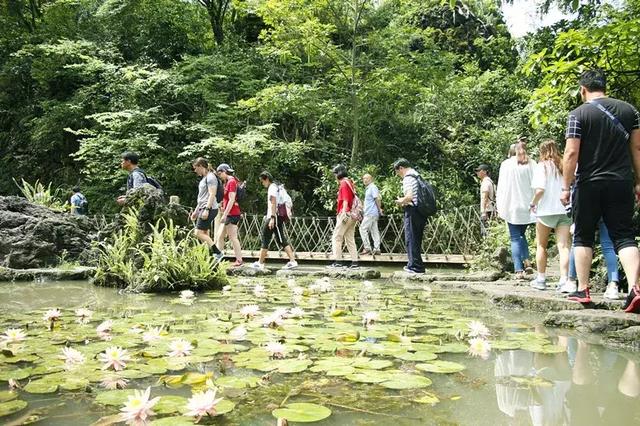 贵州比较适合自驾游的公路，看尽贵州山水风光和少数民族风情