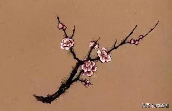 简单国画梅花，怎么样用圈点结合画法画梅花