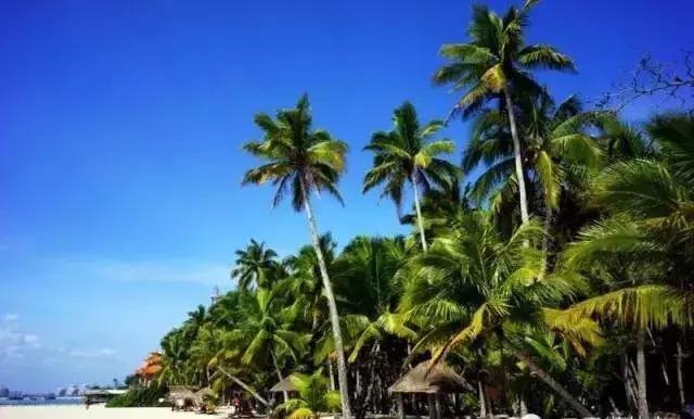 海口有什么好玩的景点，海南最值得玩十大景点（海南50个景点大全）