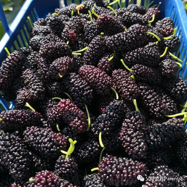 多吃水果对身体不好，就可能会“吃”出这些病来