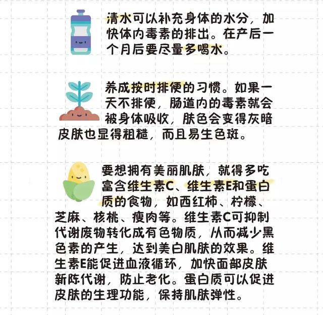 猫的生育常识和技巧，最全的入门级生育指南