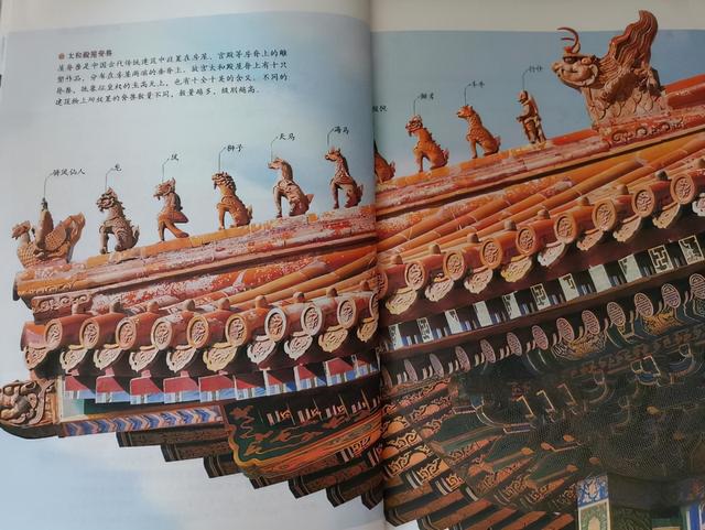 故宫初雪一夜梦回紫禁城，故宫初雪吸引了无数人