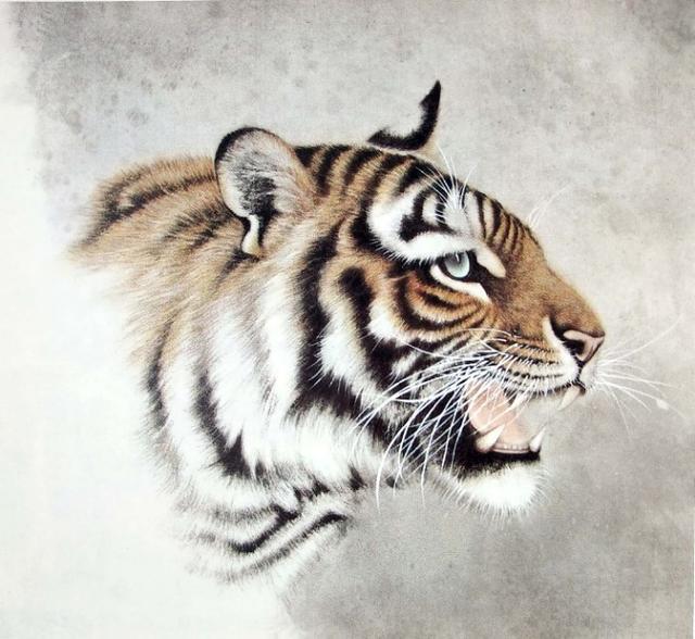 画虎怎么画才好，老虎画法-陈家明画虎