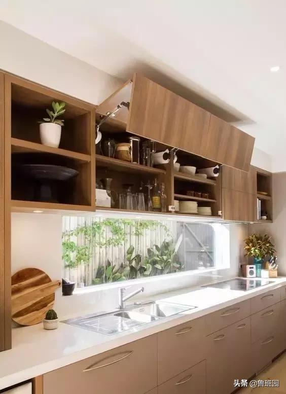 橡木相关知识，记得收藏这篇文章备用