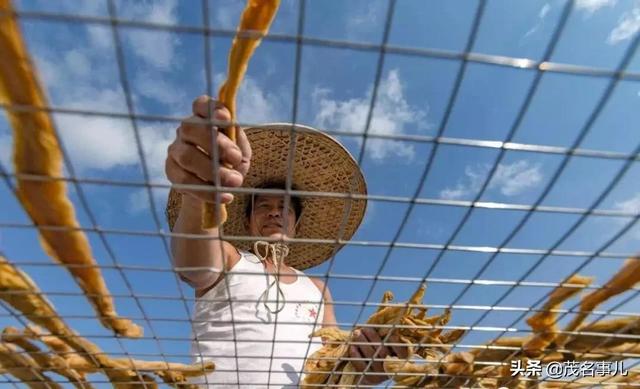 化州在哪里呀，你好化州