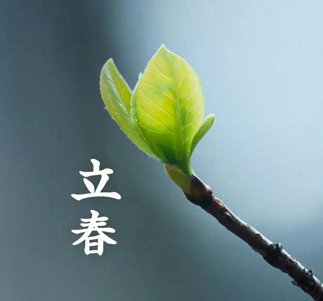 躲春有什么意思吗，立春意味着春天到了吗
