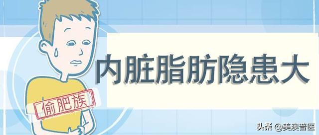 胰脏肥胖(胰腺导致肥胖)