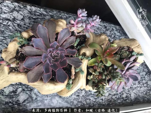 买肉，买肉的正确方法和注意事项