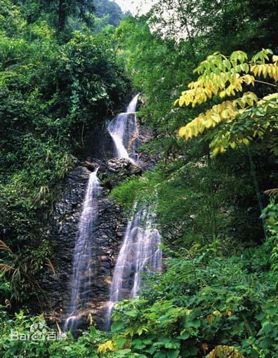 四明山国家森林公园，四明山国家公园景区