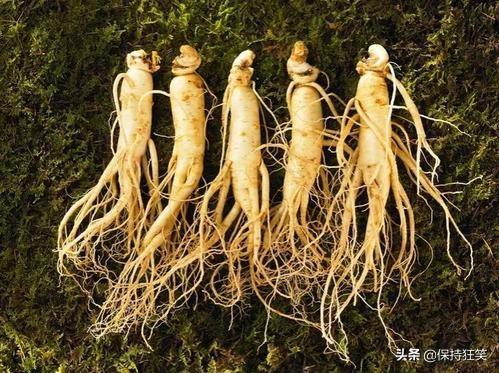 吉林特产排行榜前十名，吉林省十大特产