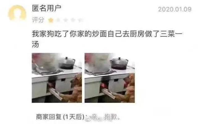 外卖评论20字文案，真就离大谱的的外卖差评语录