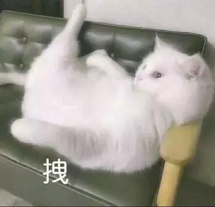 如何降低发际线，如何自然降低发际线（让你改头换面）