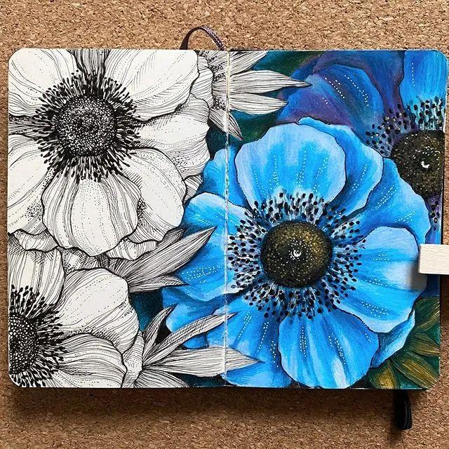 妙笔生花水墨画教程，教科书级别的植物线描