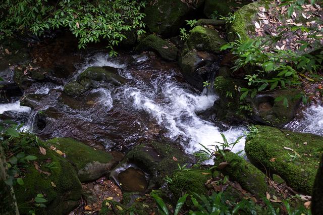 阳明山国家森林公园，阳明山国家森林公园开放时间